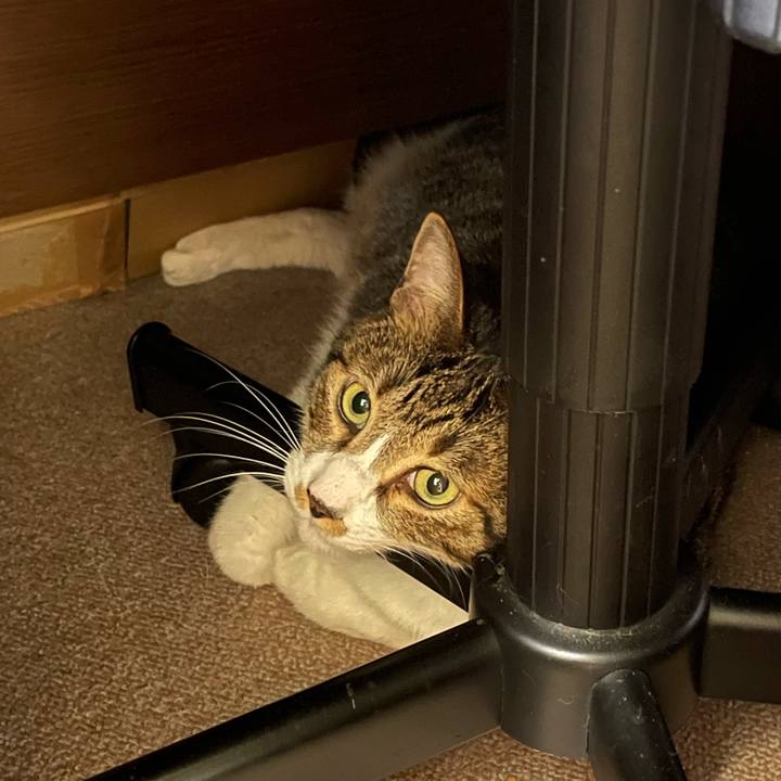 0a2480bb c160 4765 8335 56e5a7ce930e 1751842044877