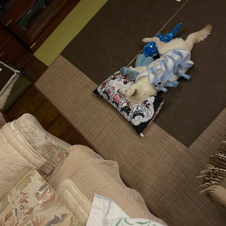 0a24874a bec5 4ba9 b644 0fa3284dbac8 1660750795484