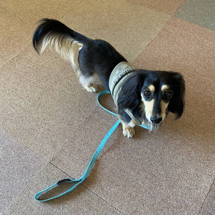 0a249098 ba4a 4301 9a7a 330663aed649 1742533249150