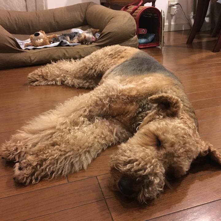 0a24ba33 e7aa 4207 abb7 c3298822edcf 1562330178079