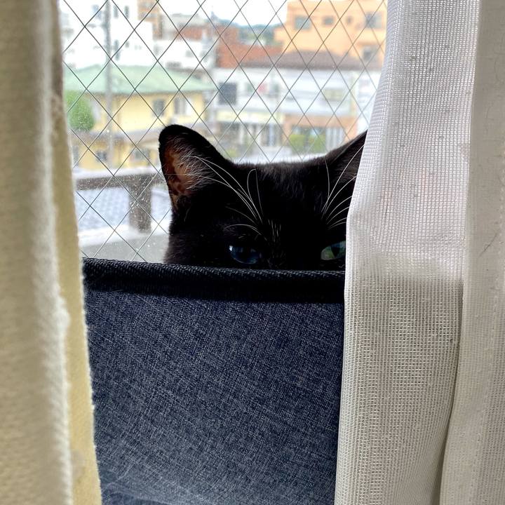 0a250f2c 0deb 4e79 b56c cad90cc2402b 1636636608747