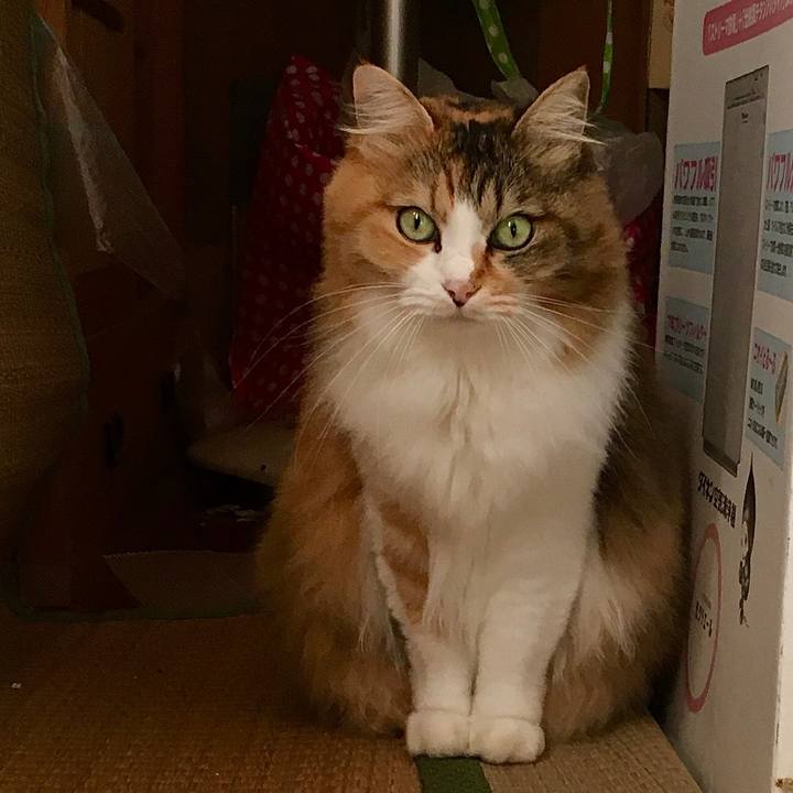 0a2527fa 8ed6 4181 8e06 24dec9b08e72 1571211954167