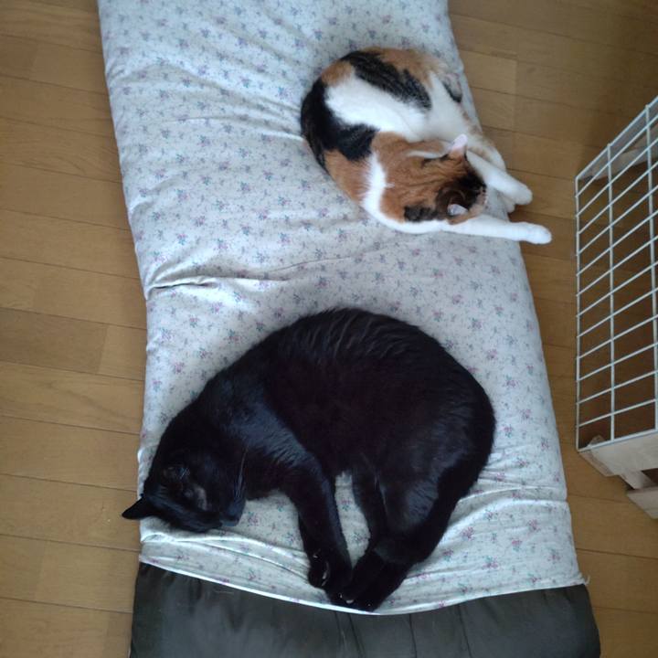 0a254b1d bd76 40d9 be07 b84f68466ce9 1651974030949