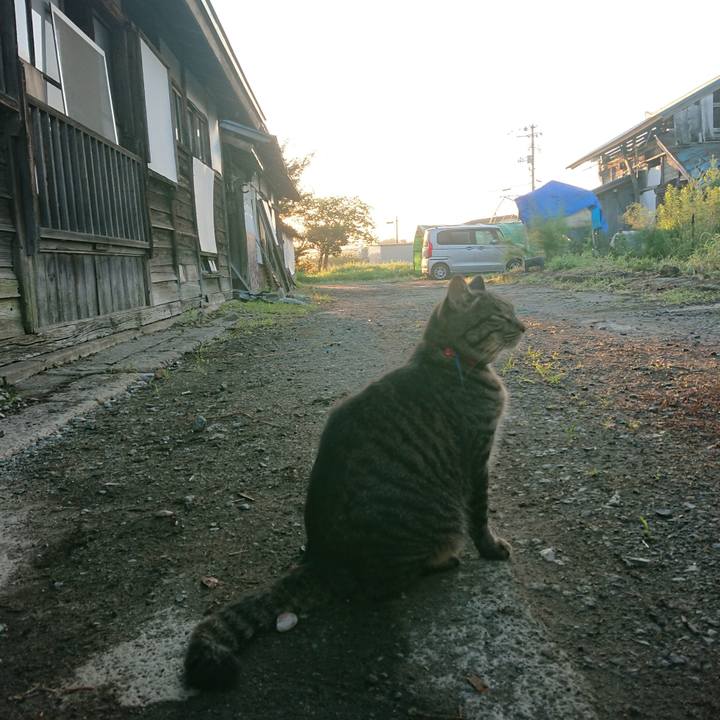 0a255bd9 0bad 463c 800f 1e30e3da57cd 1661115958049