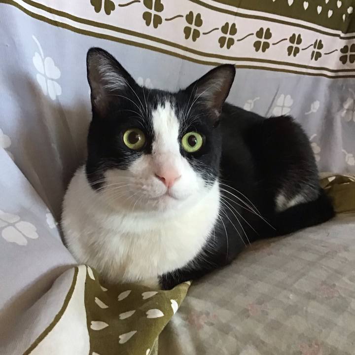 0a256be6 5e08 47a1 8079 cded68c8b4eb 1733716937671