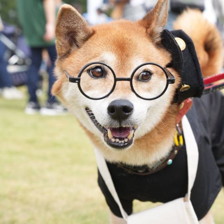 0a25966b ccf8 4b33 bcd9 c41aee1e3f27 1699582709272