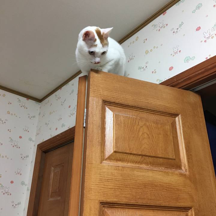 0a25c217 b689 49bb b22f 5818b5e5887b 1552905699360