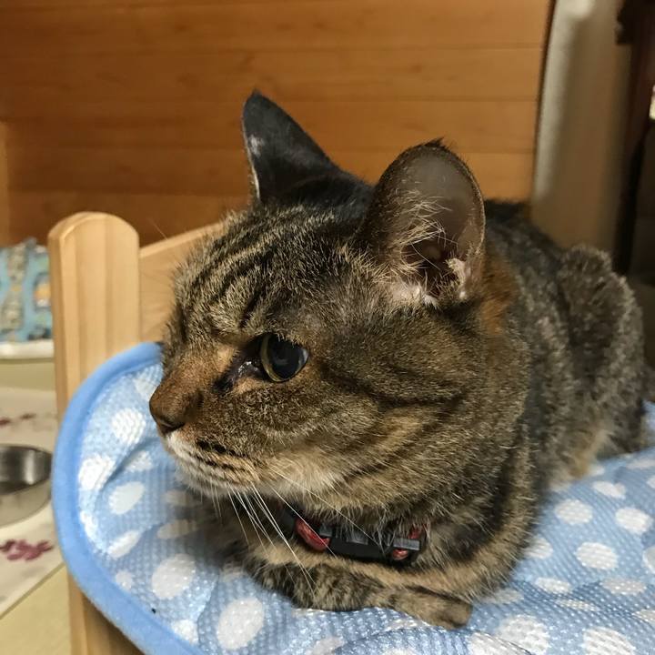 0a25f8eb af07 40b5 88c9 d7719c52b6f0 1533216783834