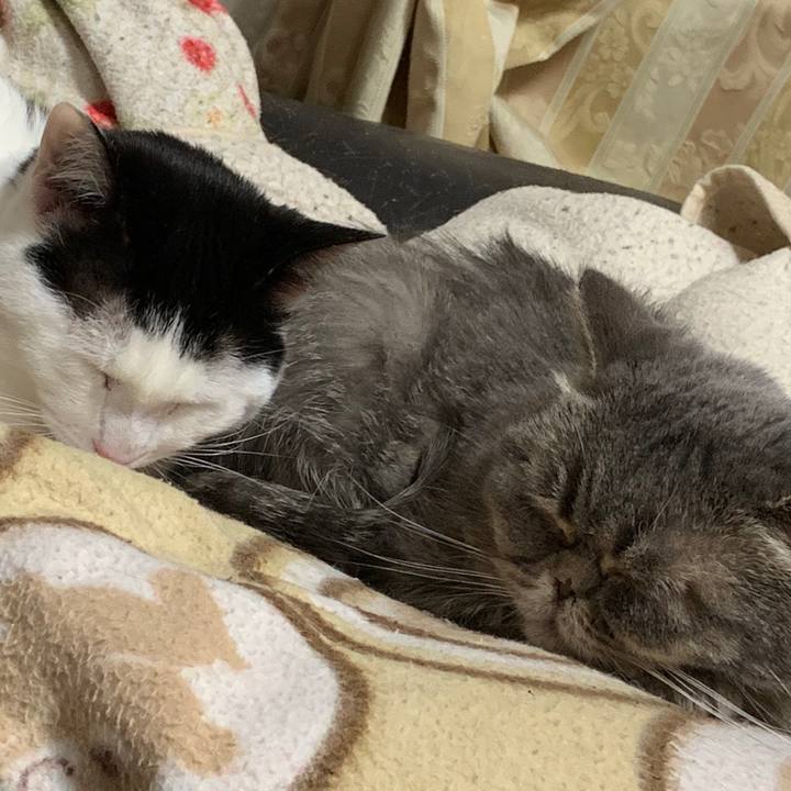 0a261abe fef9 45c2 b175 ab6ac594fd13 1553834186230