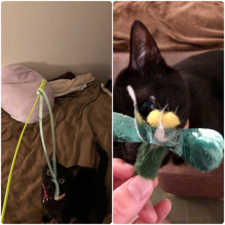 0a26238d 15ed 4397 bb34 42e65f543eb1 1611737993094