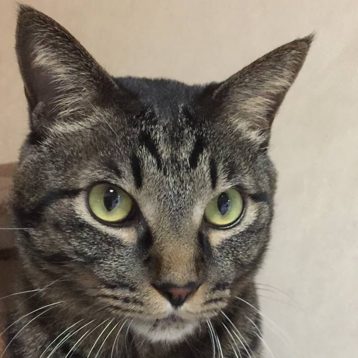 0a26273f 782a 4906 b5f4 8a4542602f3d 1514553298641