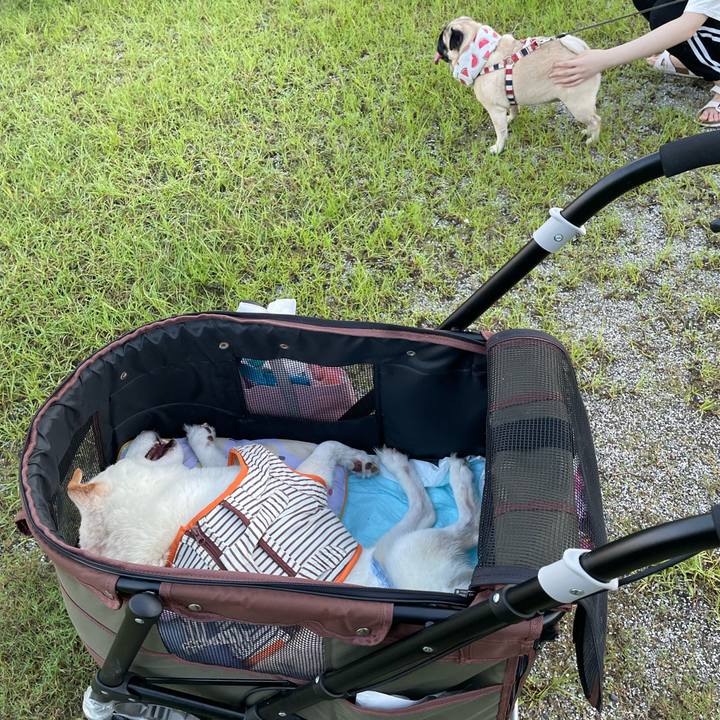 0a263d0e 7611 4205 9174 870742f18f1f 1657974786599