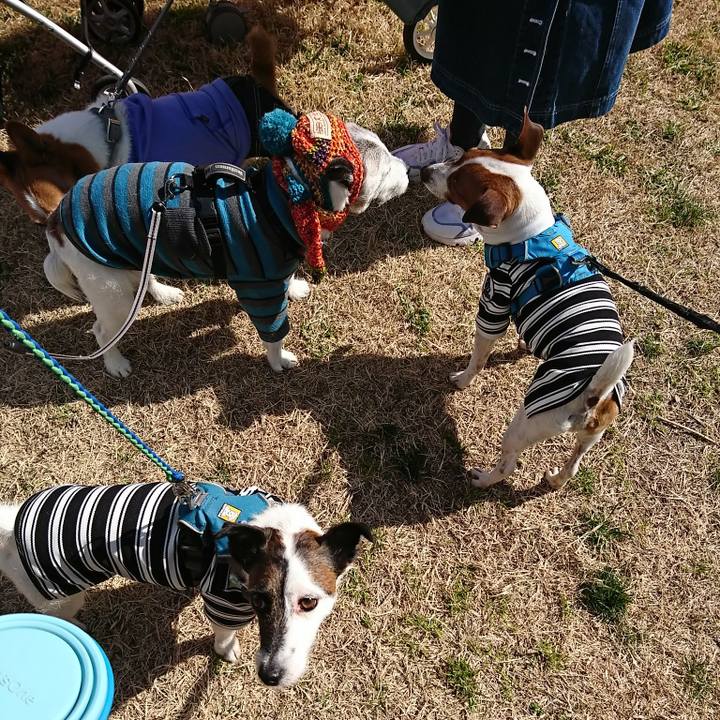 0a264cb4 1faf 4ef2 aa07 36b26ab8578f 1582431452821