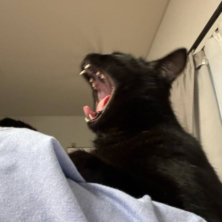 0a2661ce 8db9 4349 85f9 738932813a0a 1715253237889