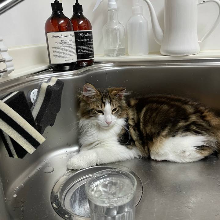 0a268e5b 7174 4f3c b24b e3157e379b78 1635459793590