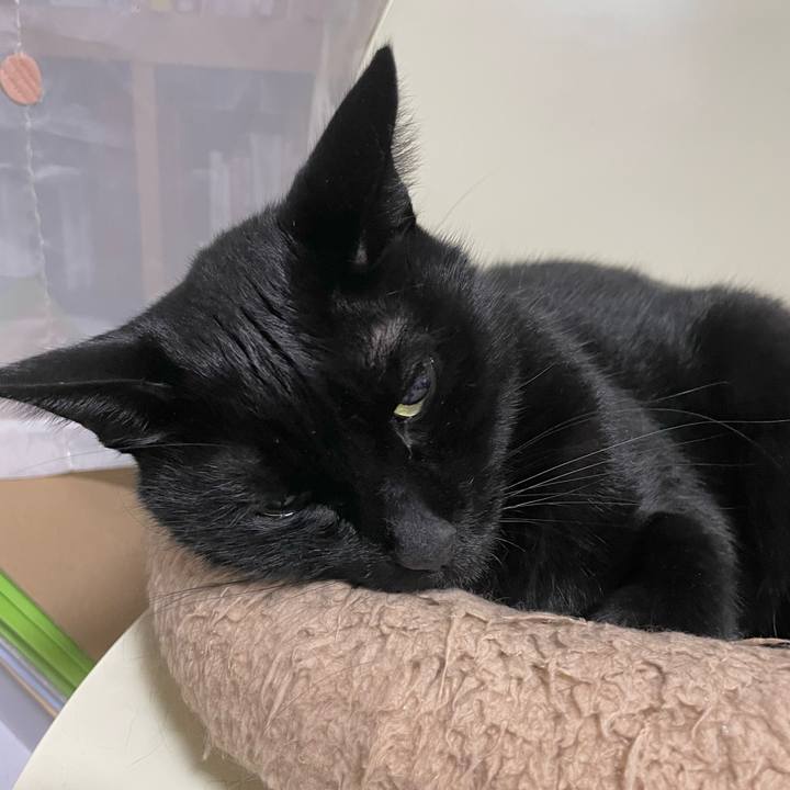 0a2694eb 16eb 4782 a86f 604df54f709c 1730811984659