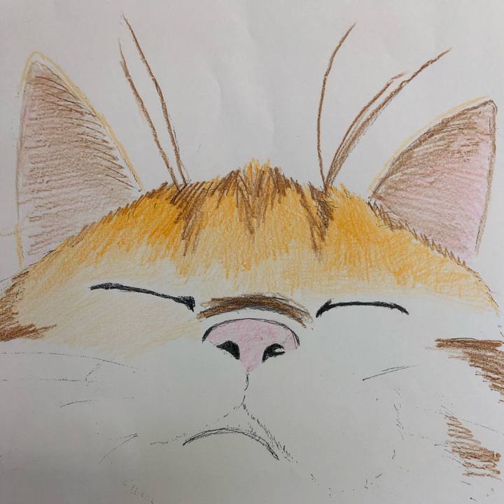 0a278763 1606 4383 9362 694e343640f8 1587032716156