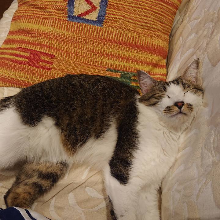 0a27881c 2f76 4152 9853 893f35548787 1630202142593