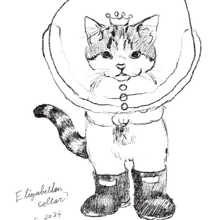 0a27bfc7 e333 4a9f 8541 1045bc4d2a3d 1717068932404