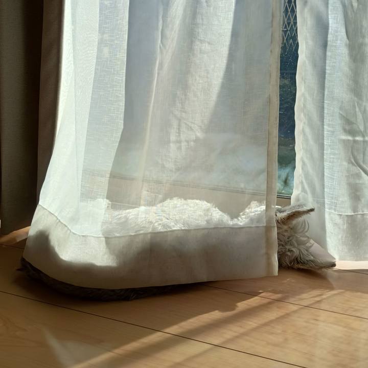 0a280bee b4a5 41fd ac28 e4a25902857b 1761741875782