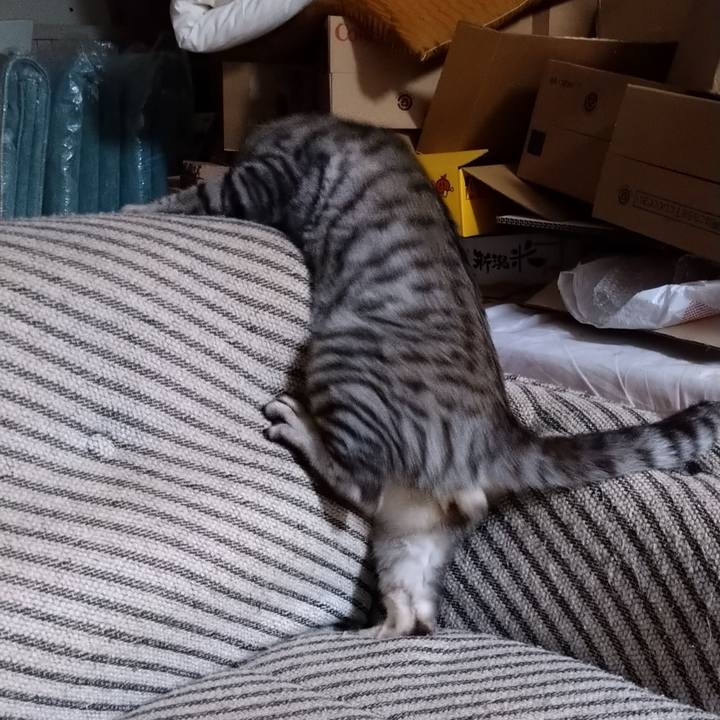 0a2826cd aa06 4fd1 982e 8c8cb73ad252 1663243468220