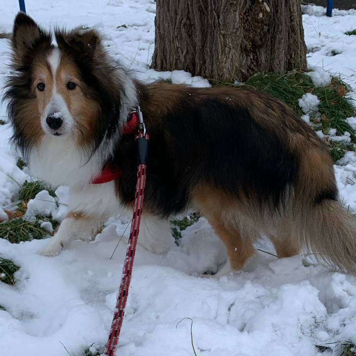 0a289862 3b61 4555 8428 27d2ea764bbe 1573907144791