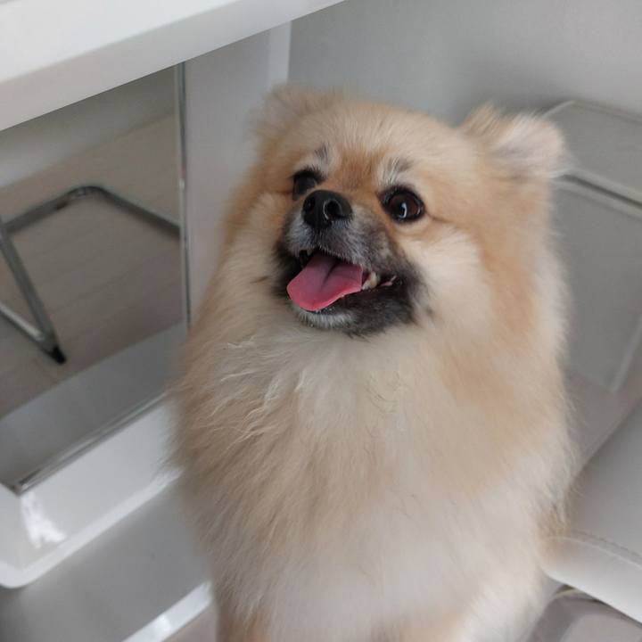 0a28eac5 cb26 4ff2 8ec7 66555ee80dc9 1649941551716