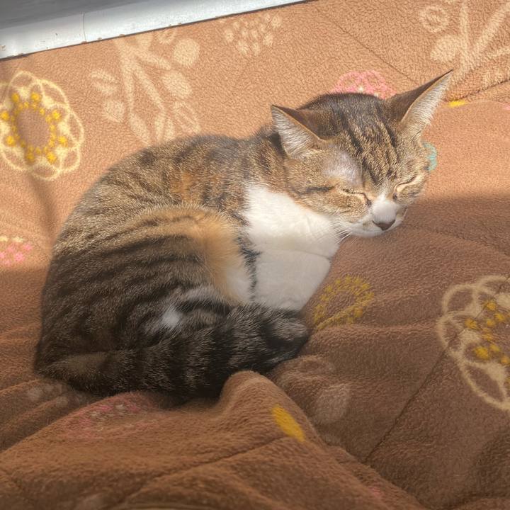 0a28f6dd ce6a 48fe 9bf2 060f7c9da399 1643076669917