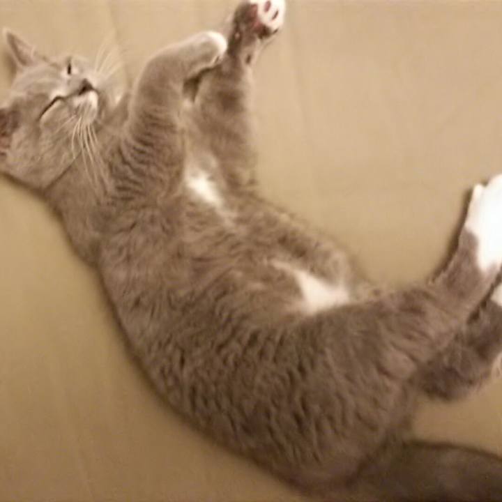 0a2911cc f0e6 498d b4aa a5e563aafc39 1533594030911