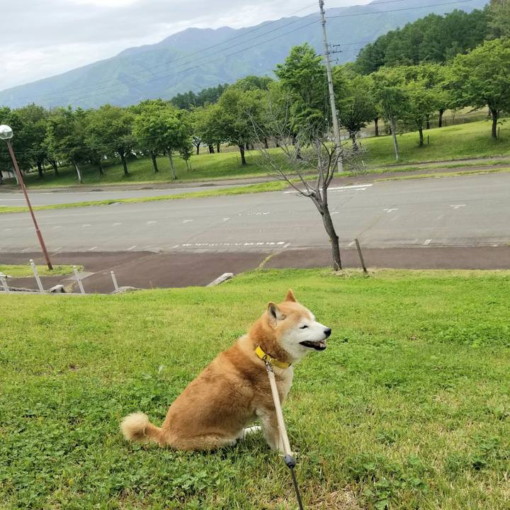 0a29234f 2a83 4b73 a28e f50f04729122 1683341979794