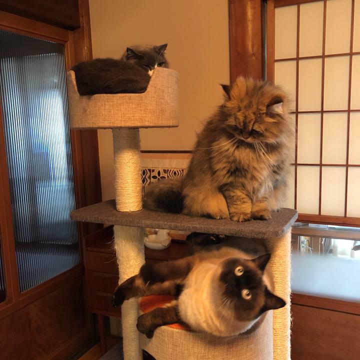 0a293d7c 04ab 483c b3a3 8ff6006a5bdd 1620176028535