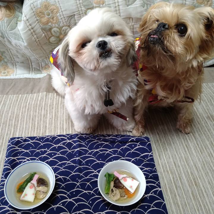 0a293ff1 ecfe 4dc9 8abc 4f500d968c04 1609461874382