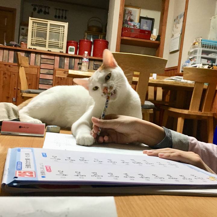 0a296d79 8b2d 47f4 a37c eca6aaca2695 1521084462173