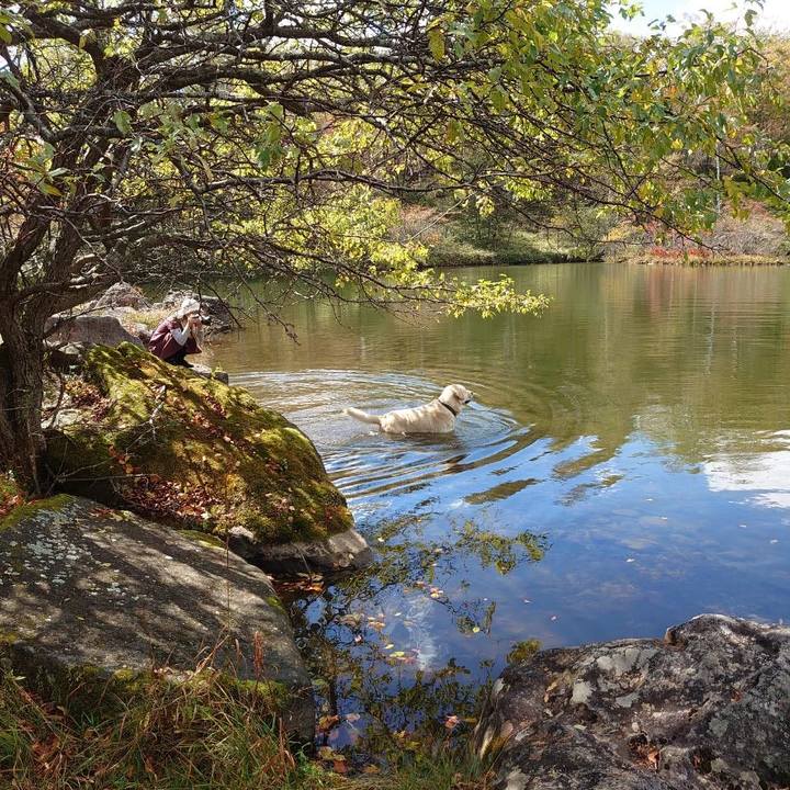 0a29e5cb 6049 4f32 ad35 b1bfae5f2282 1633581254545