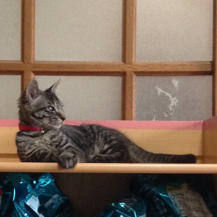 0a2a060b b823 45f7 8f55 9003901ef301 1530921504760