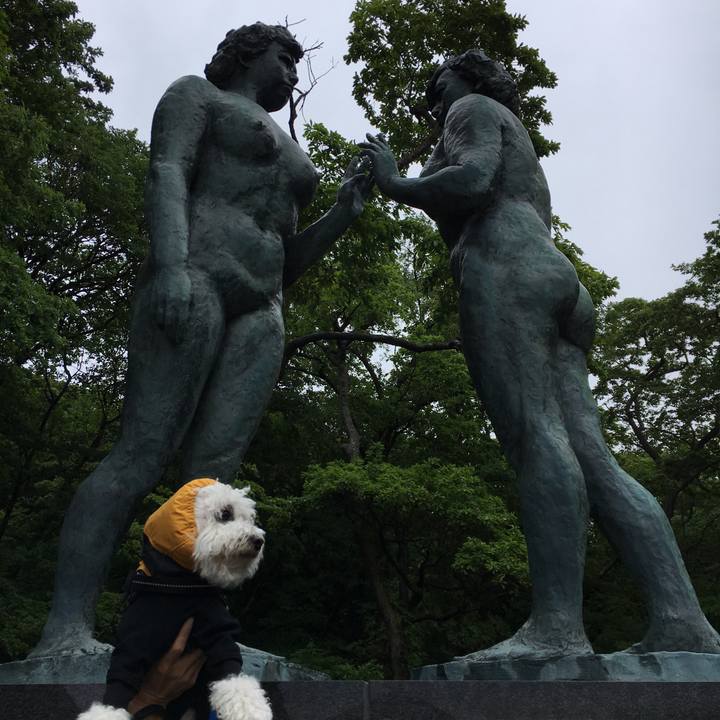 0a2a0952 097b 49e0 a4df 810b51a788f8 1530866917983