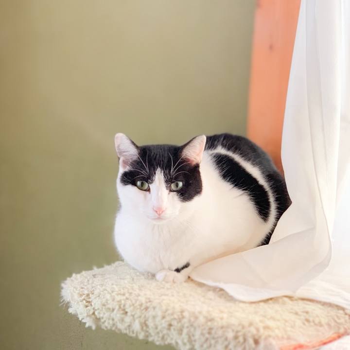 0a2a1376 9b52 4a4f 9ad2 8be3e8261313 1578448348921