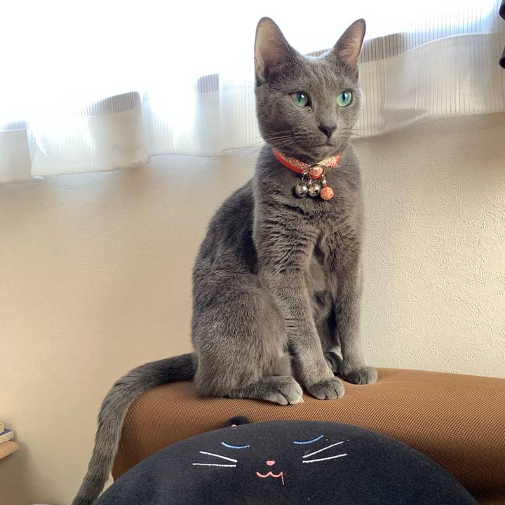 0a2a41a0 418a 49b5 af57 81d46face609 1603249539157