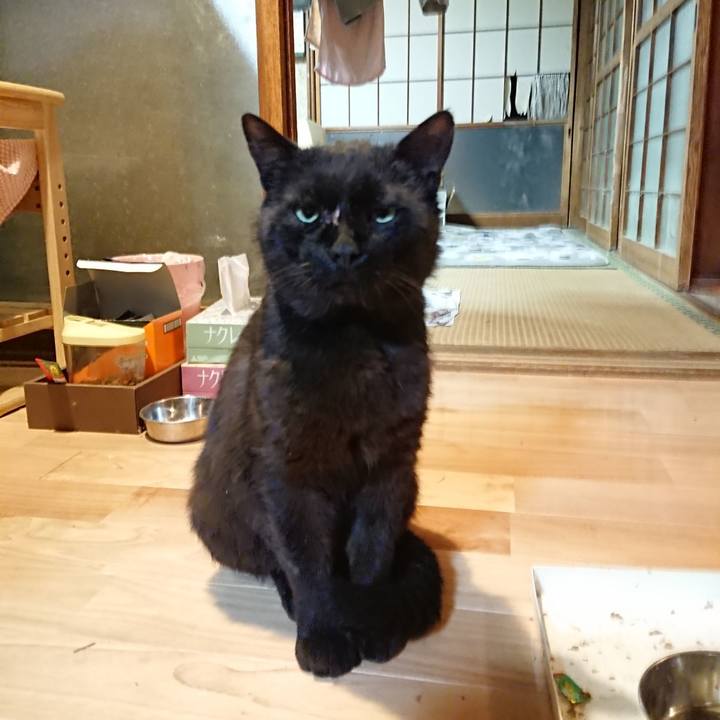 0a2a65fc d7da 4264 8deb 14b46edbfbfb 1623499206805