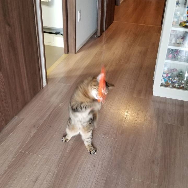 0a2a828f 86db 4740 a295 f8669ecb0f37 1552695157249