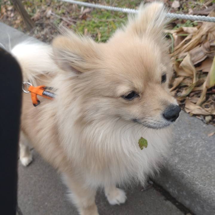 0a2a83e5 a9ea 4166 87fc a4de36a51d1e 1739237801536