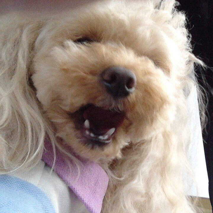 0a2a9191 5823 4fd8 93a5 4b33b71c5312 1525390609585