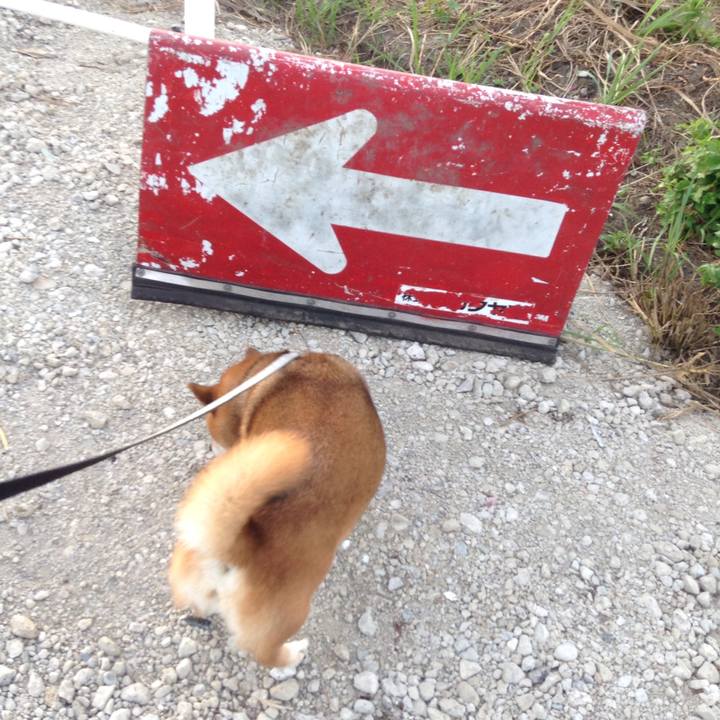 0a2aa9a1 65b0 4832 bd19 aeecaf4176fe 1534324575372