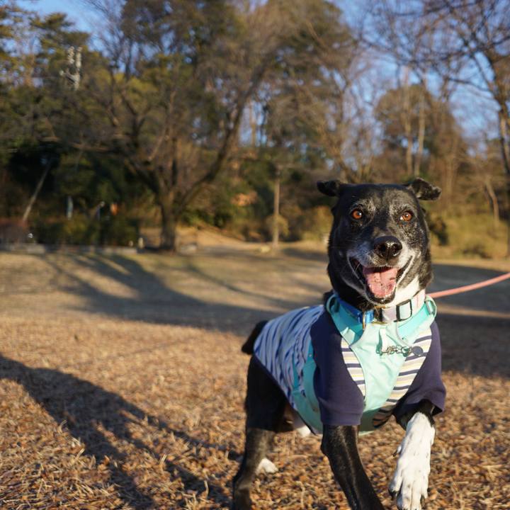 0a2acbb6 517f 49a5 b03d 0094f36c0c2a 1769993512888