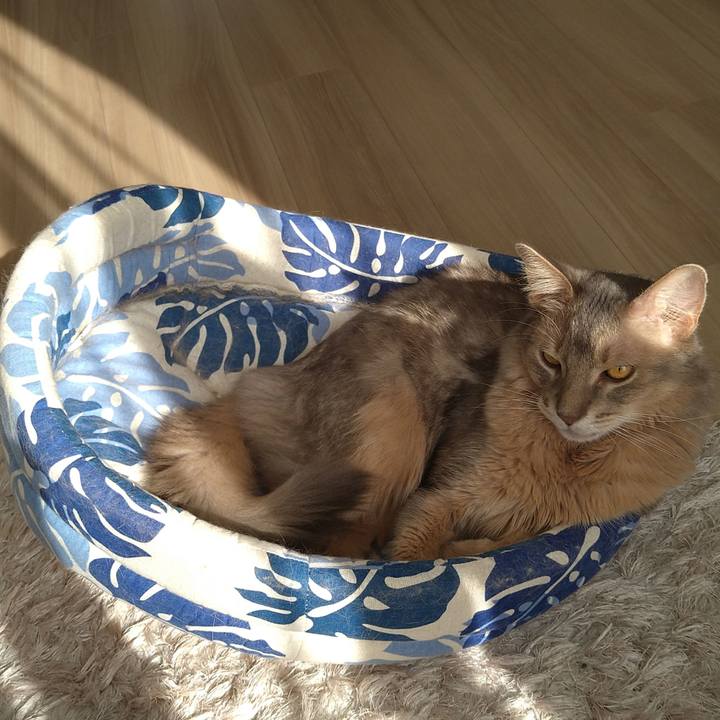 0a2acd8b ea93 4f07 bebd 1d5383292b6e 1607340903726