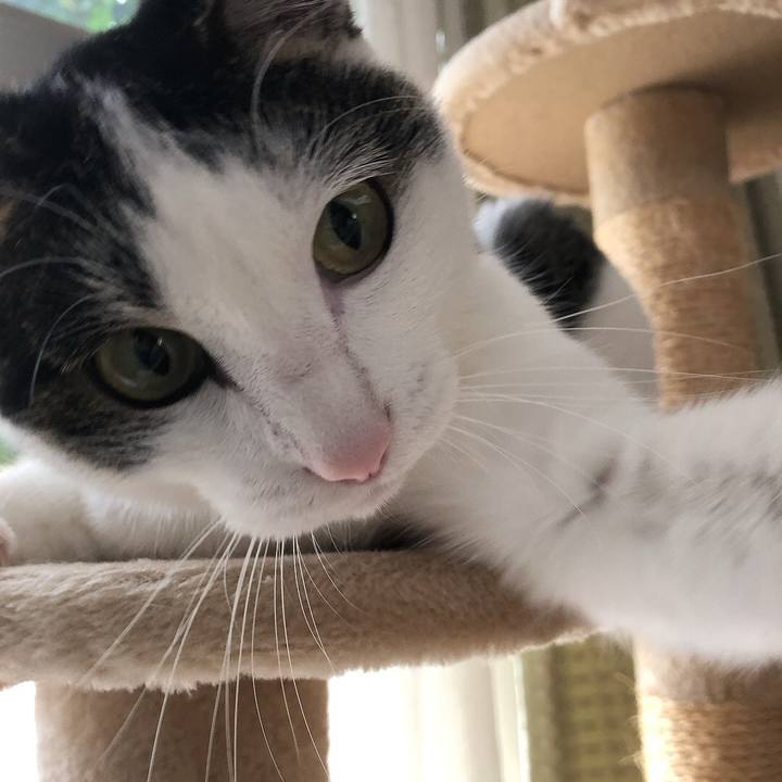 0a2add07 4c7b 4f04 8811 b0a044f77d72 1657496182960