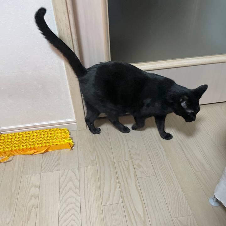 0a2add95 35c2 4508 acc9 ae3b356148d2 1739969694115