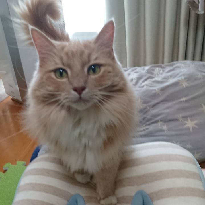 0a2b00ae d065 45e3 9788 a175a52cd21b 1568946479199