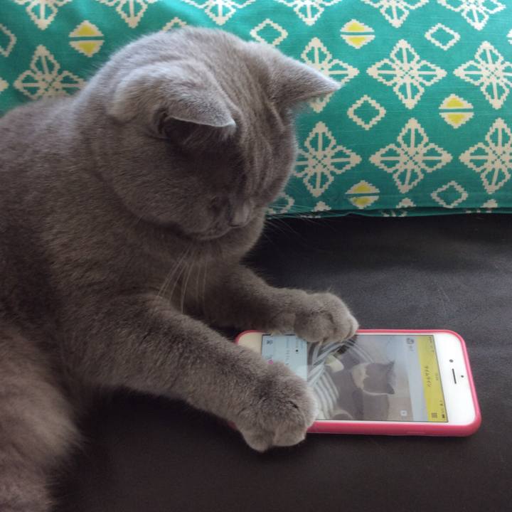 0a2b0101 c7b8 49a2 8185 2bc552ca11a2 1511582848540