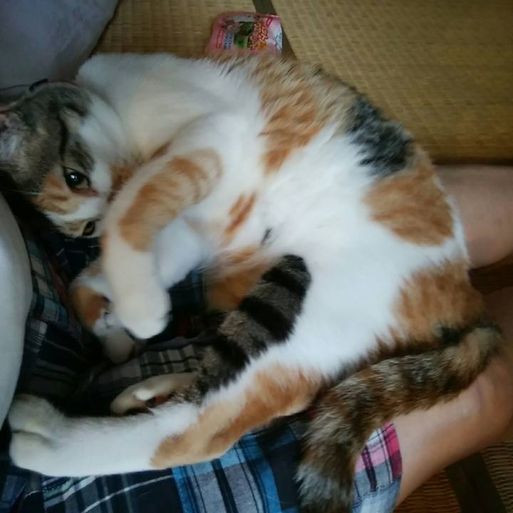 0a2b1227 fc3f 4349 920a 9d1fd56ed8c0 1530926217797